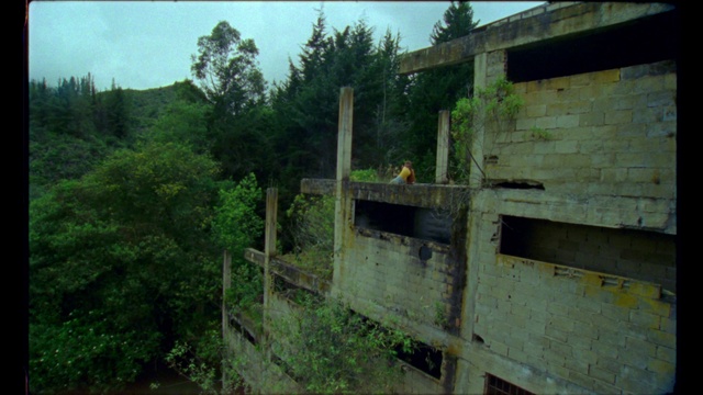 Video Reference: Plant, Sky, Tree, Land lot, Wood, Landscape, Road, Grass, Natural landscape, Bridge