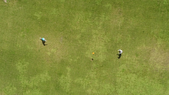 Video Reference: Plant, Sports equipment, Slope, Tree, Grassland, Grass, Grass family, Landscape, Meadow, Player