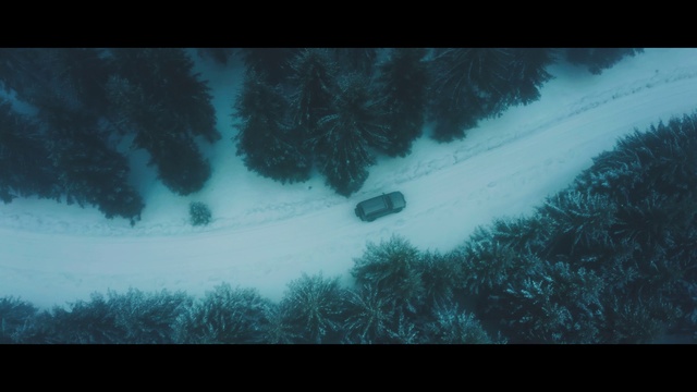 Video Reference: Atmosphere, Plant, Automotive lighting, Car, Tire, Window, Vehicle, Snow, Underwater, Tree