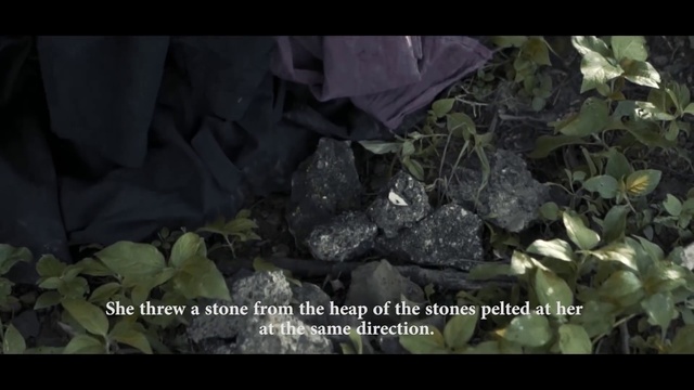 Video Reference: Terrestrial plant, Plant, Font, Grass, Petal, Darkness, Event, Soil, Screenshot, Jungle