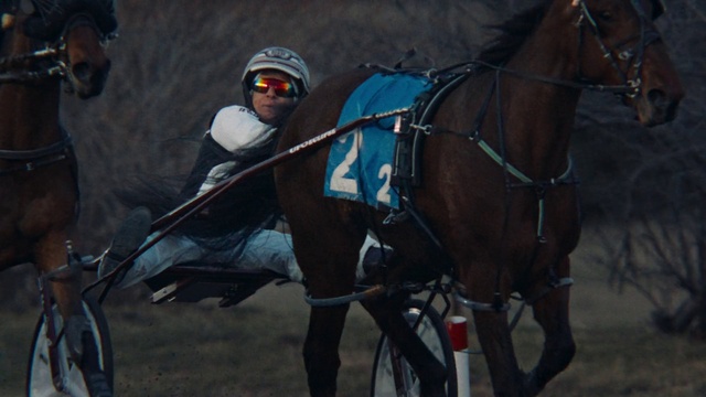 Video Reference: Horse, Helmet, Working animal, Bit, Horse tack, Saddle, Equestrian helmet, Horse supplies, Bridle, Headgear