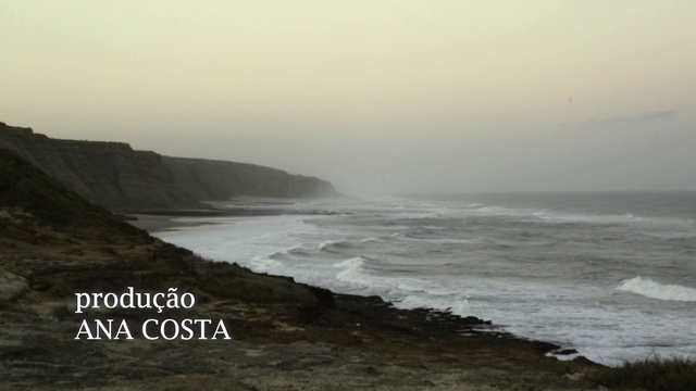 Video Reference: Water, Sky, Water resources, Atmospheric phenomenon, Beach, Natural landscape, Terrain, Horizon, Landscape, Wind wave