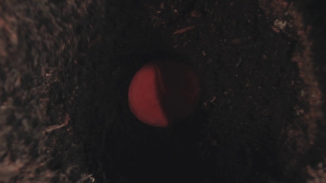 Video Reference: Automotive lighting, Sky, Wood, Gas, Cave, Circle, Astronomical object, Event, Cloud, Recreation