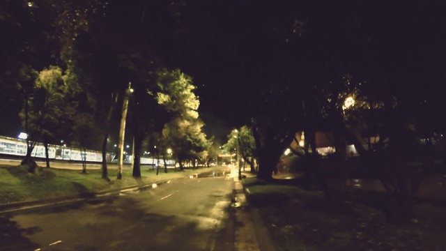 Video Reference: Plant, Automotive lighting, Road surface, Branch, Asphalt, Tree, Thoroughfare, Tints and shades, Landscape, Road