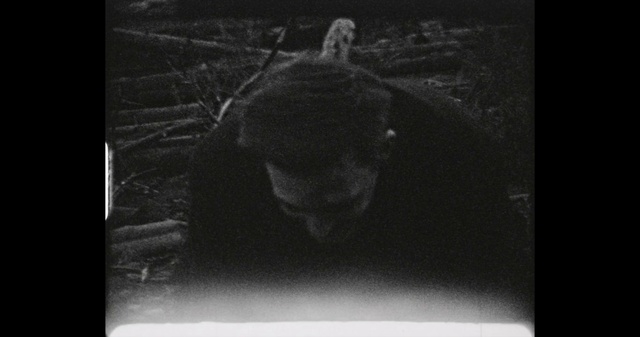 Video Reference: Black-and-white, Flash photography, Style, Picture frame, Whiskers, Tints and shades, Art, Rectangle, Snout, Monochrome photography