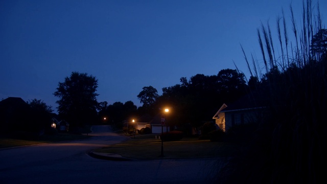 Video Reference: Sky, Plant, Cloud, Automotive lighting, Street light, Road surface, Asphalt, Tree, Dusk, Landscape