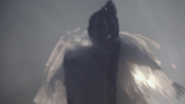 Video Reference: Plant, Sculpture, Art, Sky, Tree, Wing, Darkness, Statue, Recreation, Fictional character