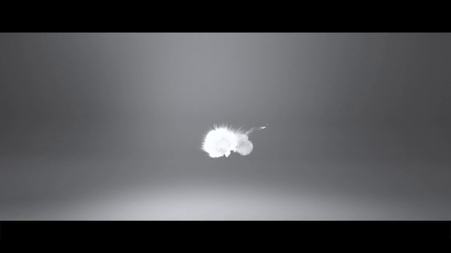 Video Reference: Sky, Cloud, Font, Wing, Feather, Astronomical object, Cumulus, Art, Monochrome photography, Darkness