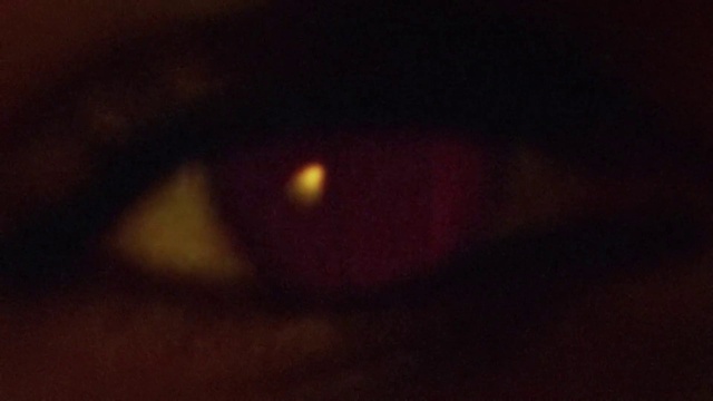 Video Reference: Automotive lighting, Sky, Wood, Astronomical object, Tints and shades, Eyelash, Tree, Circle, Science, Cloud