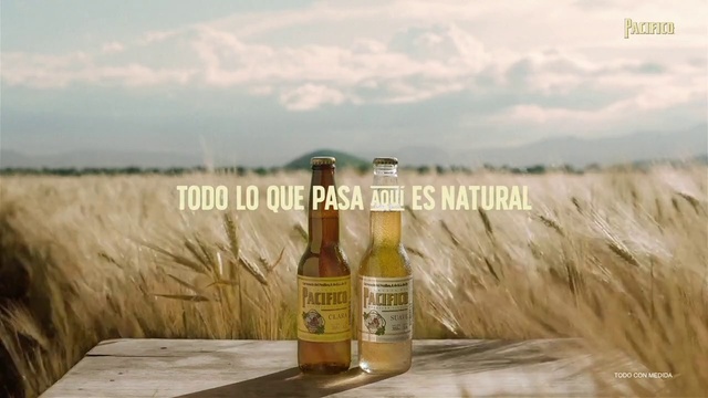 Video Reference: Cloud, Sky, Bottle, Nature, Drinkware, Beer, Wood, Table, Beer bottle, Glass bottle