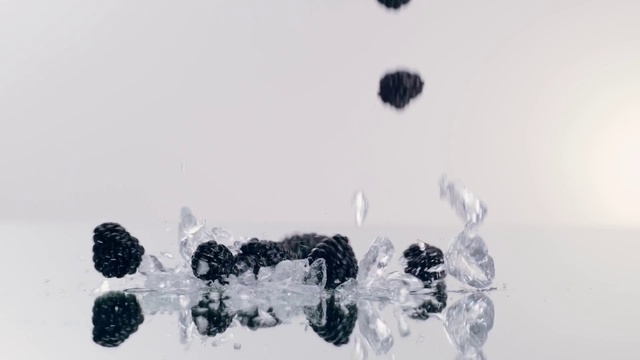 Video Reference: Plant, Font, Body jewelry, Art, Jewellery, Freezing, Painting, Fashion accessory, Monochrome photography, Still life photography