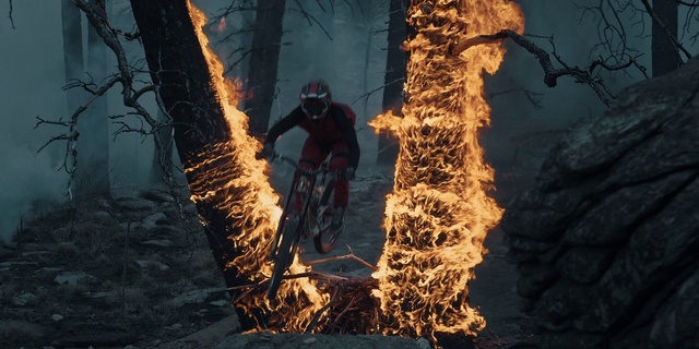 Video Reference: Nature, Wood, Branch, Wheel, People in nature, Tire, Sunlight, Vegetation, Flame, Fire
