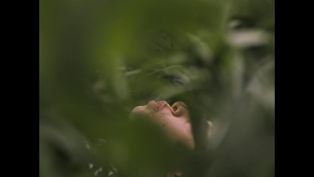 Video Reference: Plant, Eyelash, Human body, Jaw, Flash photography, People in nature, Terrestrial plant, Tree, Snout, Grass