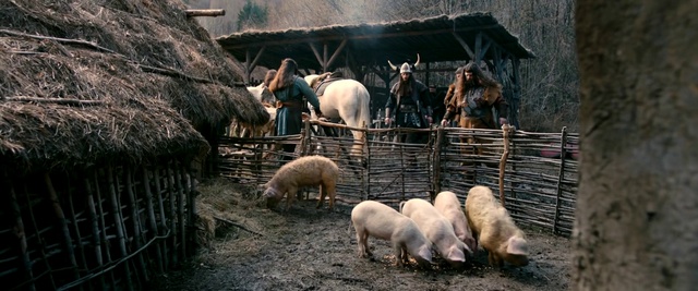 Video Reference: Vertebrate, Mammal, Working animal, Terrestrial animal, Rural area, Adaptation, Landscape, Fence, Snout, Livestock