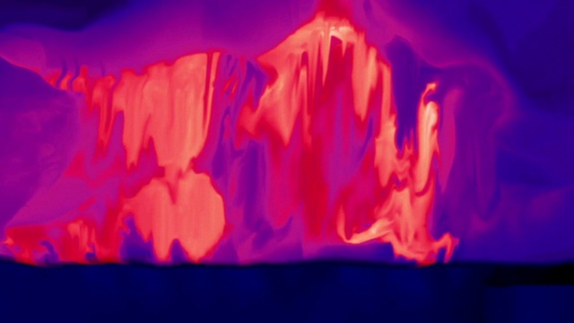 Video Reference: Purple, Entertainment, Organism, Performing arts, Magenta, Electric blue, Formation, Event, Performance art, Art