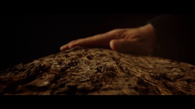 Video Reference: Hand, Wood, Flash photography, Finger, Sky, Tree, Cloud, Tints and shades, Grass, Landscape