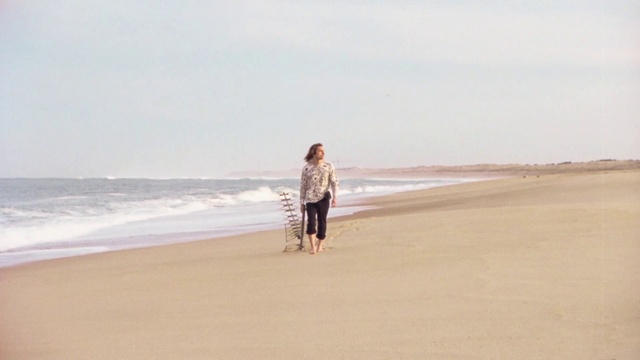 Video Reference: Water, Sky, People on beach, Beach, Cloud, Dress, Gesture, Coastal and oceanic landforms, Travel, People in nature