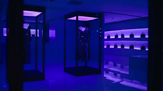 Video Reference: Purple, Eyewear, Shelf, Violet, Display case, Electric blue, Glass, Automotive design, Event, Magenta