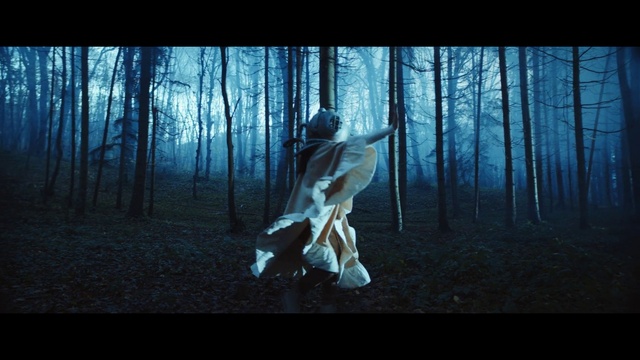 Video Reference: Plant, Tree, Flash photography, People in nature, Wood, Natural landscape, Trunk, Art, Cg artwork, Forest