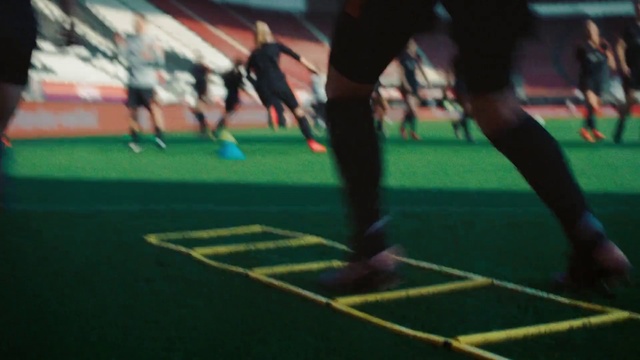 Video Reference: Sports equipment, Plant, Field hockey, Leg, Football, Player, Sportswear, Flooring, Ball game, Shorts