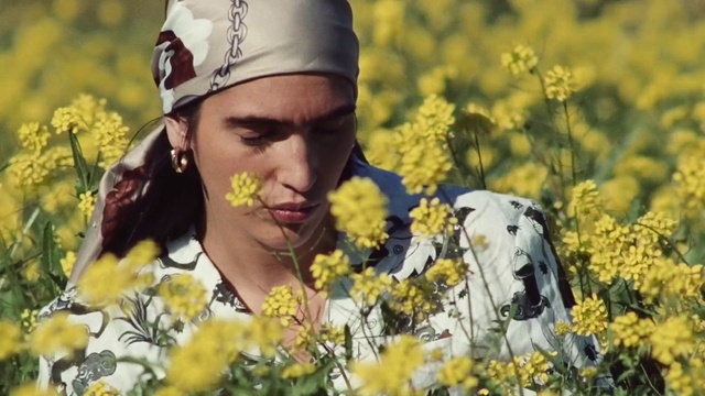 Video Reference: Flower, Head, Plant, Photograph, People in nature, Happy, Yellow, Grass, Petal, Summer