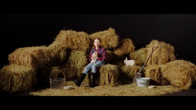 Video Reference: People in nature, Flash photography, Sky, Toy, Grass, Agriculture, Sheep, Rural area, Landscape, Grass family
