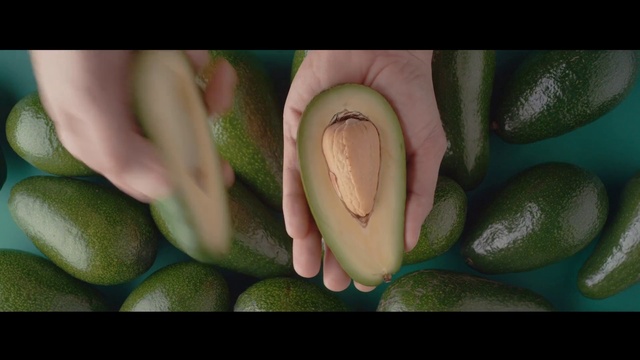 Video Reference: Flower, Plant, Botany, Organism, Terrestrial plant, Petal, Houseplant, Flowering plant, Herbaceous plant, Close-up