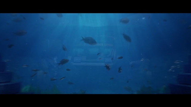 Video Reference: Water, Azure, Fluid, Underwater, Window, Fin, Fish, Liquid, Marine biology, Electric blue