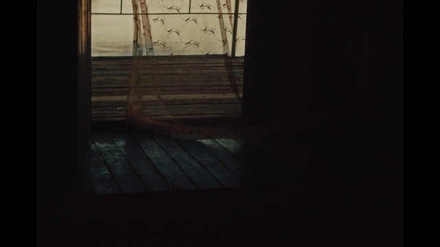Video Reference: Wood, Flooring, Rectangle, Building, Hardwood, Tints and shades, Shade, Door, Sky, Darkness