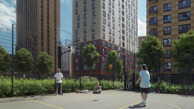 Video Reference: Plant, Building, Skyscraper, Daytime, Photograph, Window, Leaf, Infrastructure, Road surface, Tree