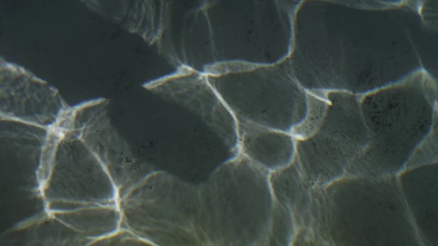 Video Reference: Atmosphere, Water, Nature, Azure, Organism, Fluid, Pattern, Electric blue, Close-up, Landscape