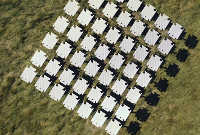 Video Reference: Wood, Biome, Plant, Urban design, Font, Grass, Landscape, Pattern, Tree, Symmetry