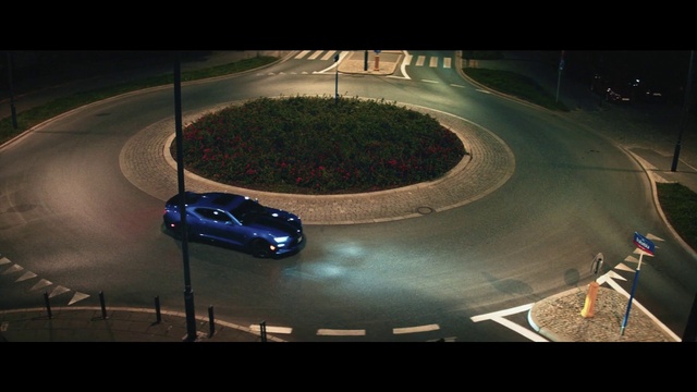 Video Reference: Tire, Wheel, Car, Automotive lighting, Vehicle, Hood, Plant, Automotive tire, Automotive design, Asphalt