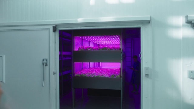 Video Reference: Purple, Violet, Door, Water, Gas, Magenta, Home appliance, Fixture, Electric blue, Major appliance