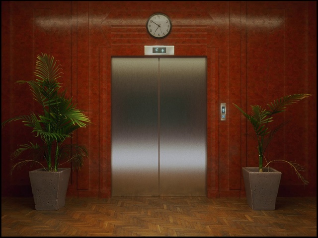 Video Reference: Plant, Door, Flowerpot, Houseplant, Wood, Window, Fixture, Line, Wall, Grass