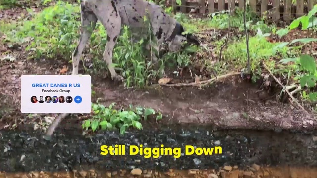 Video Reference: Water, Plant, Water resources, Plant community, Nature, Natural landscape, Natural environment, Vegetation, Terrestrial plant, Grass