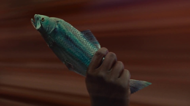 Video Reference: Gesture, Thumb, Nail, Wrist, Electric blue, Jewellery, Human leg, Art, Liquid, Fashion accessory