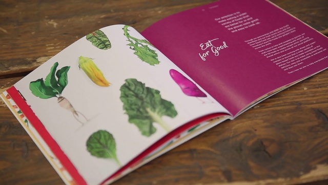 Video Reference: Dishware, Rectangle, Publication, Font, Serveware, Book, Serving tray, Magenta, Paper, Linens