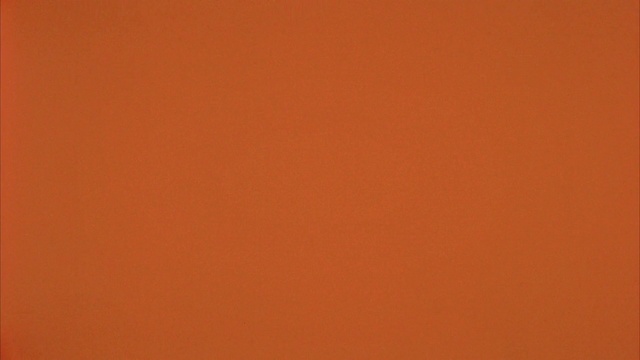 Video Reference: Brown, Amber, Orange, Peach, Tints and shades, Pattern, Font, Magenta, Event, Carmine