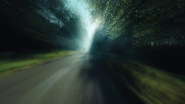 Video Reference: Road surface, Asphalt, Natural landscape, Atmospheric phenomenon, Thoroughfare, Road, Landscape, Tints and shades, Darkness, Forest