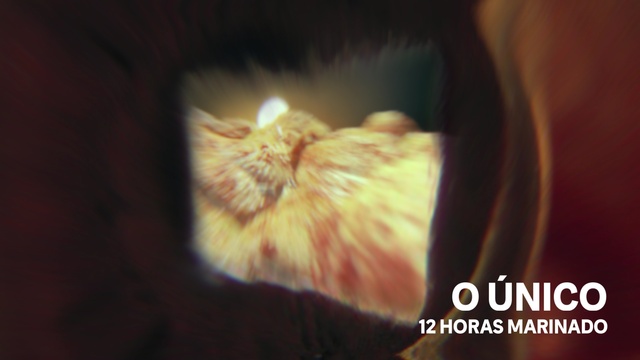 Video Reference: Cat, Plant, Felidae, Carnivore, Whiskers, Small to medium-sized cats, Fruit, Heat, Tree, Darkness