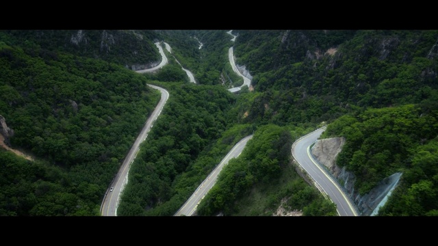 Video Reference: Plant, Natural landscape, Mountain, Tree, Terrestrial plant, Highland, Slope, Thoroughfare, Road surface, Landscape