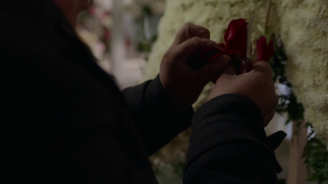 Video Reference: Gesture, Finger, Nail, Plant, Thumb, Human leg, Petal, Event, Wrinkle, Foot