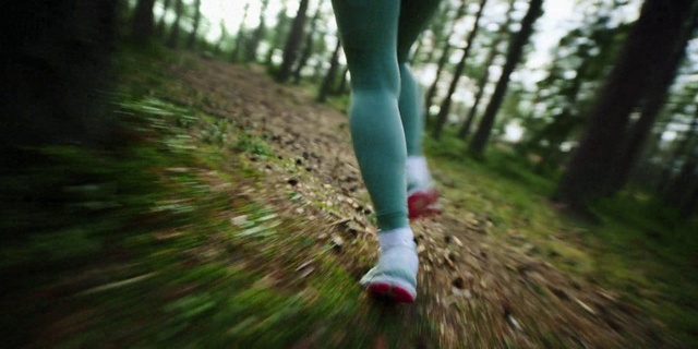 Video Reference: Plant, People in nature, Human body, Terrestrial plant, Natural landscape, Wood, Tree, Grass, Knee, Trunk