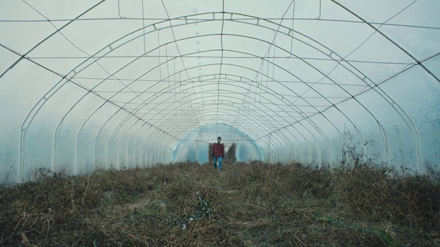 Video Reference: Plant, People in nature, Sky, Natural landscape, Grass, Terrestrial plant, Grass family, Grassland, Greenhouse, Agriculture
