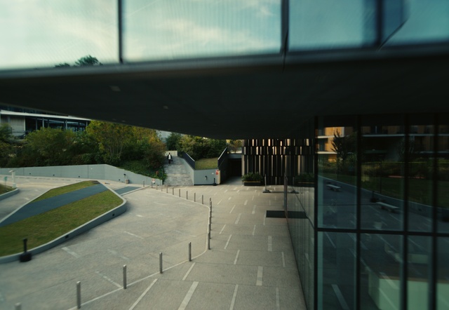 Video Reference: Sky, Plant, Shade, Road surface, Urban design, Asphalt, City, Tree, Road, Building
