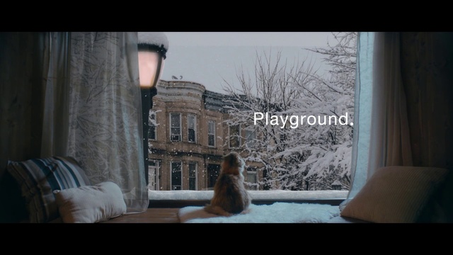Video Reference: Building, Window, Snow, Tree, Plant, House, Street light, Freezing, Carnivore, Sky