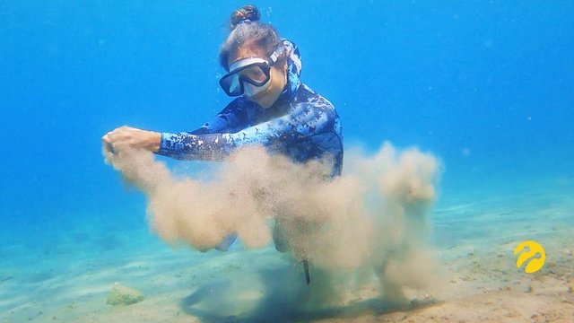 Video Reference: Water, Goggles, Azure, Underwater diving, Headgear, Leisure, Fun, Underwater, Recreation, Personal protective equipment