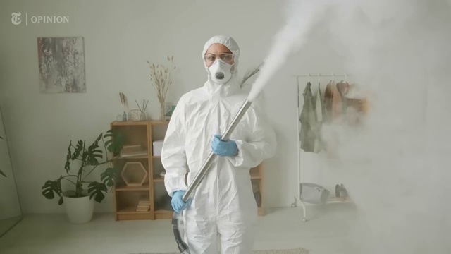 Video Reference: Plant, Flowerpot, Houseplant, Headgear, Art, Event, Room, Service, Costume, Visual arts