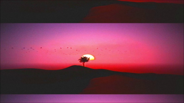 Video Reference: Sky, Atmosphere, Afterglow, Nature, Natural landscape, Tree, Purple, Sunset, Sunrise, Dusk